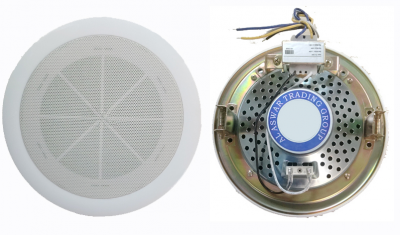 Ceiling Speakers