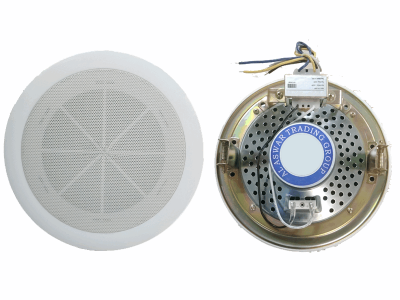 Ceiling Speakers